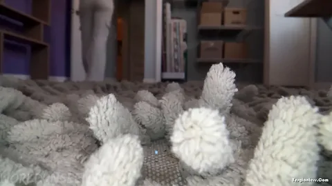 WorldUnseenFilms - Cozy on the Rug