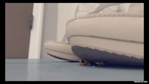 MicroVoyager - Bugs Life