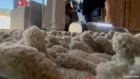 WorldUnseenFilms - The Rug Vacuum Scene Only