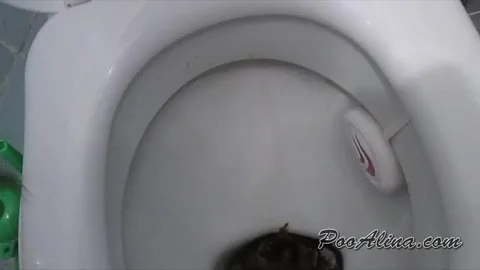 PooAlina - Young Alina big shitting on toilet in the morning 12