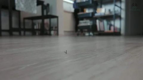 Micro Me GTS - Lost FX Part 2
