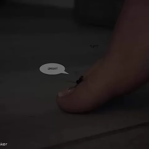 Master Shrinker