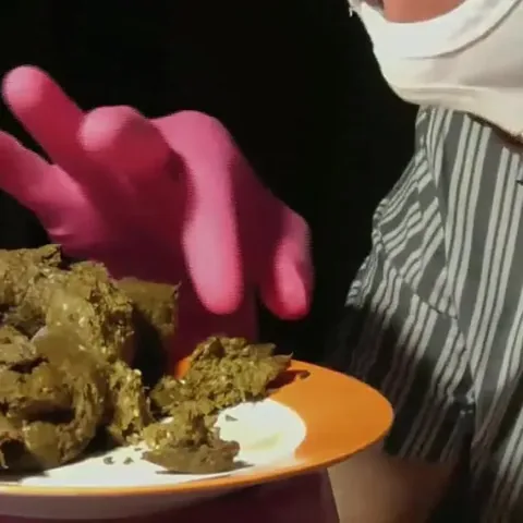 Mega Scat Compilation