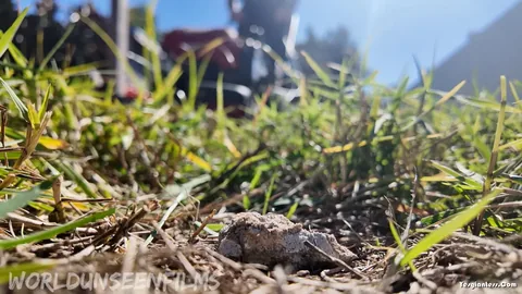 WorldUnseenFilms - The Backyard