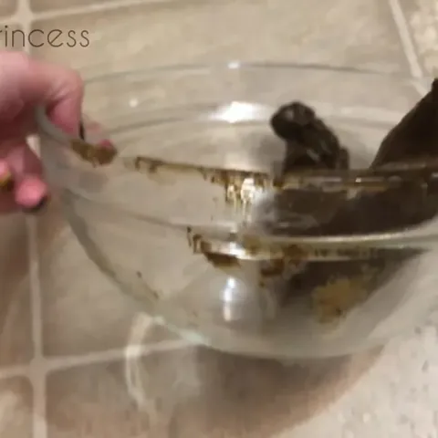 Pooping A Long Thick One Into A Bowl In My Bedroom