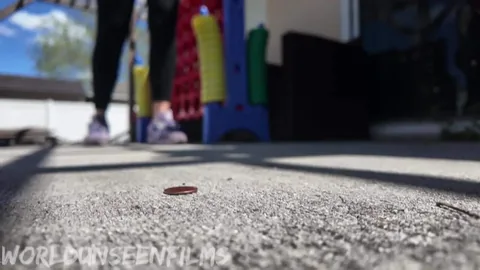 WorldUnseenFilms - Sneakers and Bugs