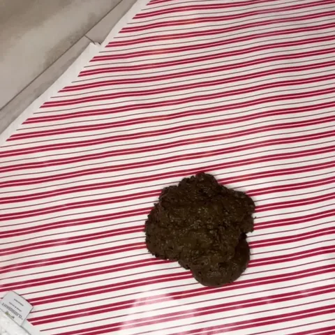 4 May 2023 Spoon Fed Shit Slave With Pulsiferpaprocki
