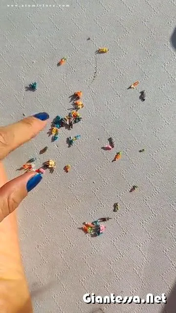 AtomicToez - GTS tinies crushed under feet