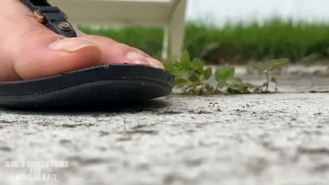WorldUnseenFilms - Sucked Up
