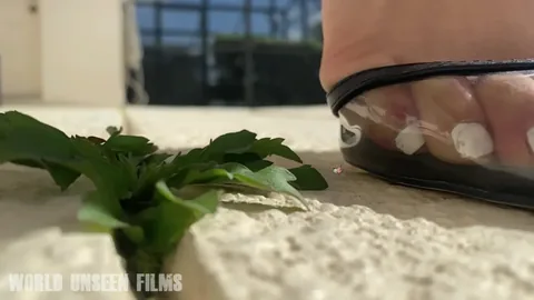 Worldunseenfilms - Here Is Some Unused Footage