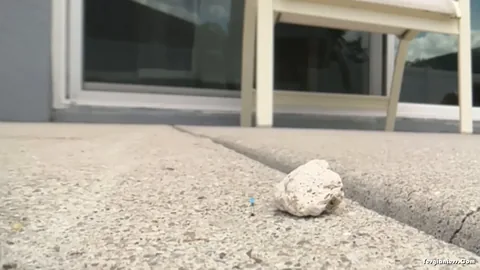 WorldUnseenFilms - Micro on the Patio Pt 1
