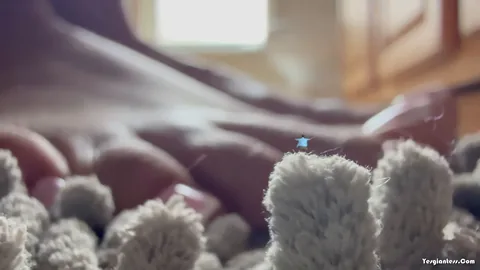 WorldUnseenFilms - Lost in the Rug
