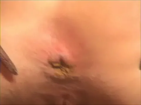 thefartbabes - SpreadHoleForShit