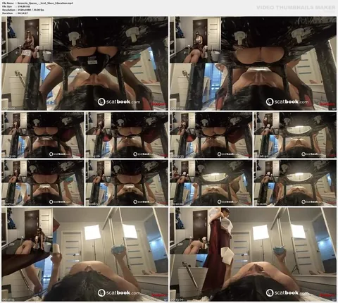 Nemezis Queen - Scat Slave Education