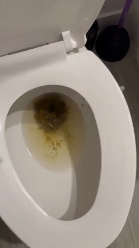 Kaitlyn Katsaros - Holy fuck lol