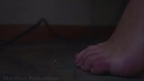 Mant Man Productions - Teachers Pest FX