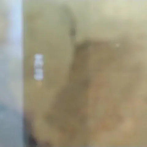 12 May 2023 Xiomara Fox Fetish Queen Pov Under My Toilet Feeding You