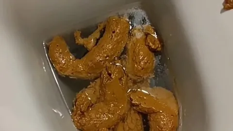 AinaraX - 22 Shitting WC