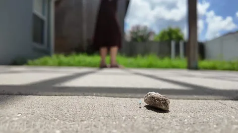 WorldUnseenFilms - Patio Beauties