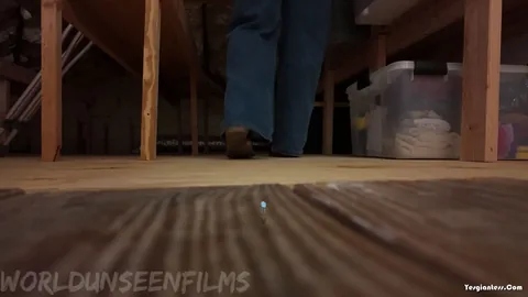 WorldUnseenFilms - Tiny in the Attic
