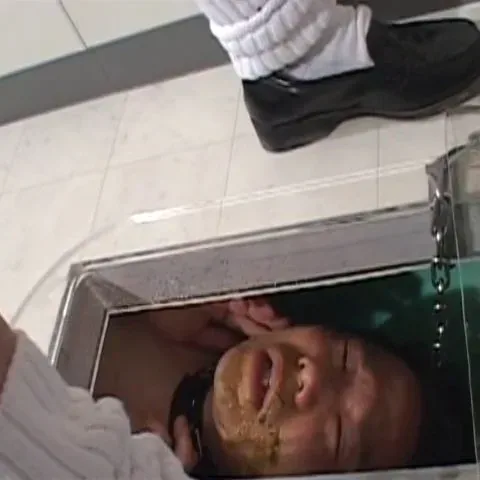 Fetidistrojp