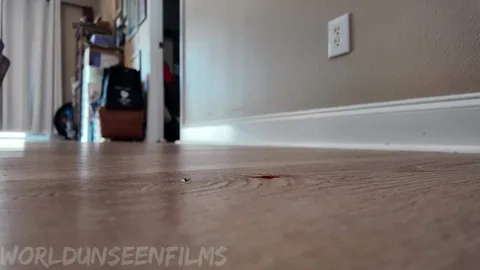 WorldUnseenFilms - Socks Rock Short