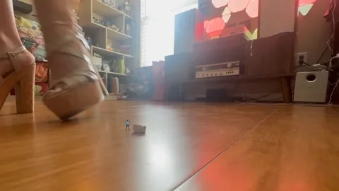 Worldunseenfilms - Watch Jimmy and Mikes Shrunken Couch