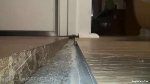 WorldUnseenFilms - The Crack in the Doorway