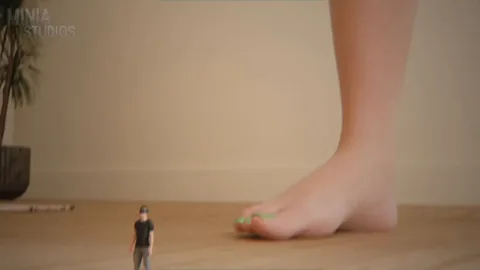 Minia Studios - Surprise