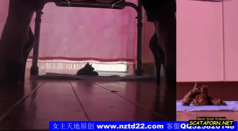 Chinese femdom 2491 SCAT - Fboom