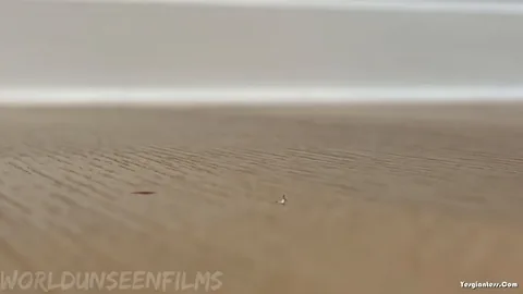 WorldUnseenFilms - Flip Flop Fail
