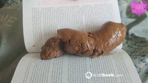 Kitty Skatt - The Book Critic This book