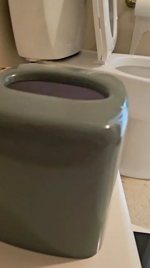 Goddess Fire - Turning My Sissy Bitch Gary Into My Toilet Slave