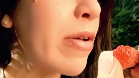 Katelyn Brooks - Shrunken Cities in the Garden