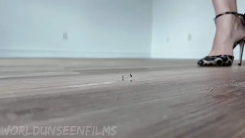 WorldUnseenFilms - Hardwood Tinies