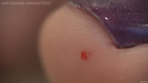 GSFCreator - Microcosm Fulfilled SFX 4k