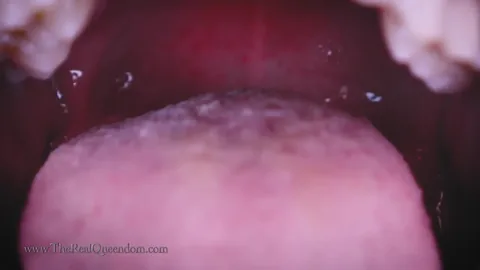 The Queendom - Into the Genies Belly