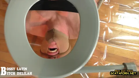 TheOnlyScatQueenDelilah - My human toilete slave