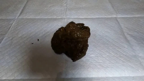 Classy N Gassy - giantess dominates you with poop