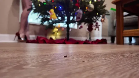 WorldUnseenFilms - Christmas Time Is Here