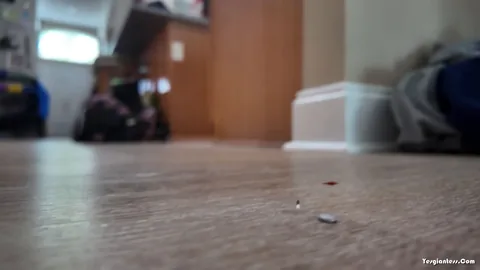 WorldUnseenFilms - Lyric and Kat BCM 2 SHORT