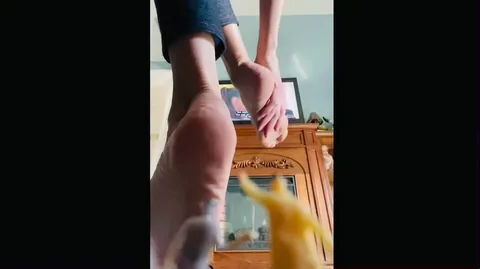 QueenMotherSoles - Shrunk Son