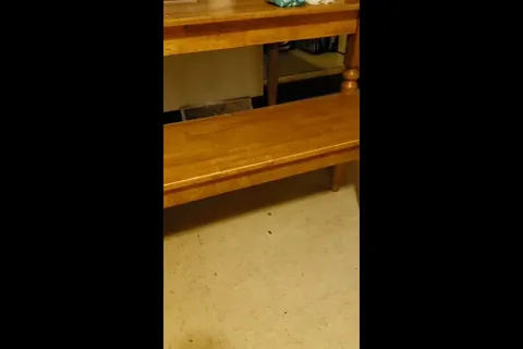 scatqueenstaxxx - Shitted on myself in the kitchen