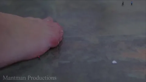 Mant Man Productions - Prison Break FX