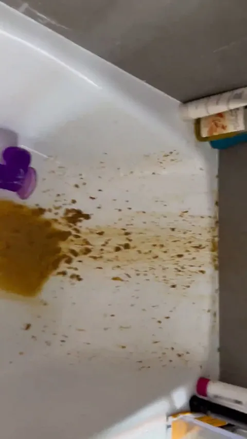 Kaitlyn Katsaros - My shit all over the shower lolll