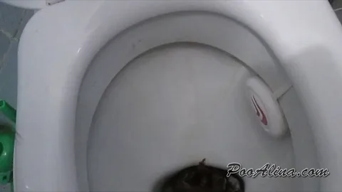 suppkakiem - Young Alina big shitting on toilet in the morning 12