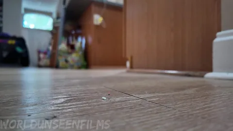 WorldUnseenFilms - Chunky Sneakers
