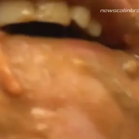 Scat Fruit Ritual
