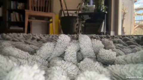 WorldUnseenFilms - Lost In The Rug Series Keds With Music