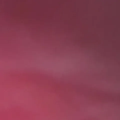 Violetwinter666